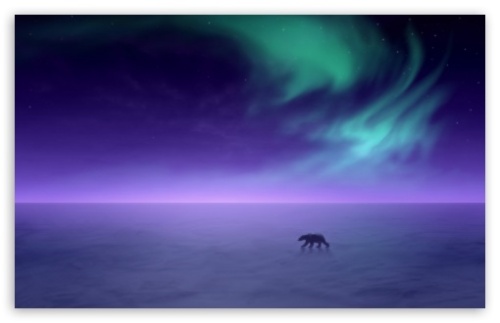 polar bear aurora_borealis_3-t2 free