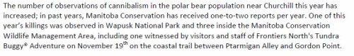 Polar Bears International Press release, November 27, 2009