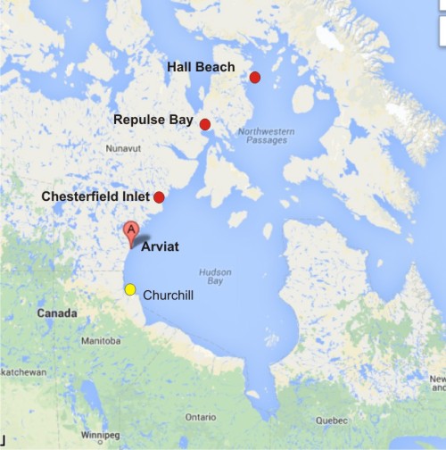 Figure 1. Arviat and Chesterfield Inlet are in Nunavut, on the northwest shore of Hudson Bay, north of Churchill, Manitoba (in the Western Hudson Bay polar bear subpopulation). Repulse Bay and Hall Beach, Nunavut are in the Foxe Basin subpopulation. From Google Maps, labels added.
