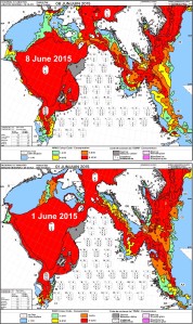 Hudson Bay breakup 8 June 2015 vs 1 June_PolarBearScience