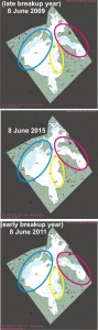 Figure 4.  Sea ice coverage at 8 June 2015 (centre) to the same date in 2009 (an late breakup year, July 2, top) and 2011 (an early breakup year, June 5, below). Compare amount of ice in each of the three coloured areas. Note that in 2015 there is less open water in Hudson Strait (magenta) and eastern Hudson Bay (yellow) than there was in 2009 – despite the larger area of open water in NW Hudson Bay this year. Click to enlarge. 
