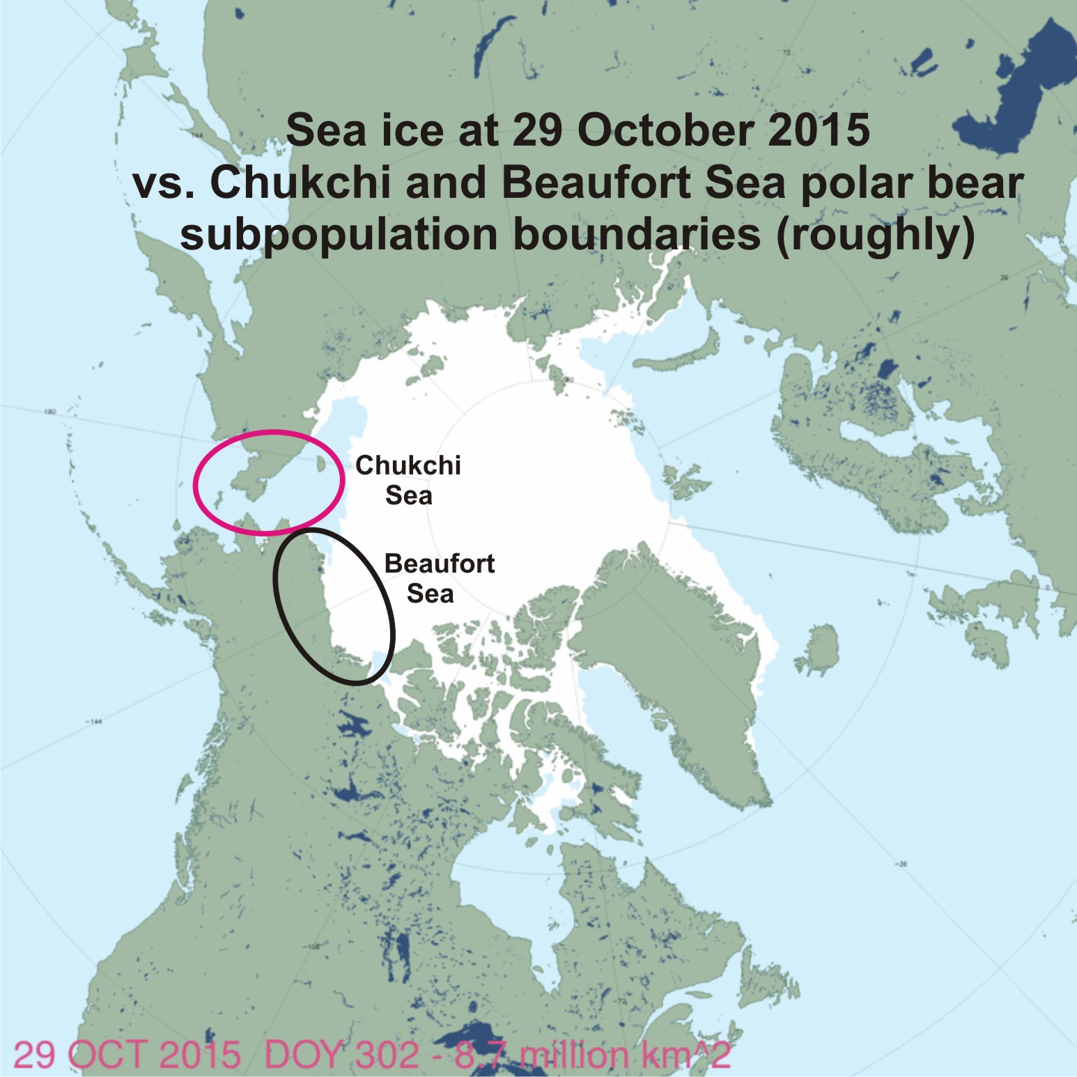Chukchi vs Beaufort ice at 29 Oct 2015_polarbearscience