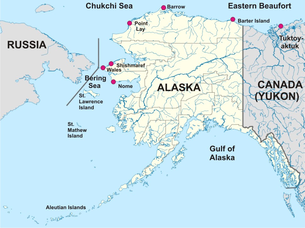 Chukchi Beaufort locations_PolarBearScience_sm
