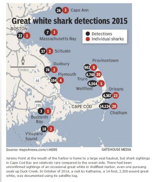 Cape Cod shark detections 2015_CapeCodTimes2016
