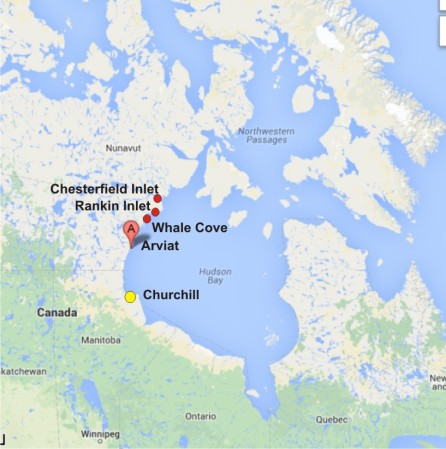 Arviat with Churchill_Rankin and Whale Cove_PolarBearScience