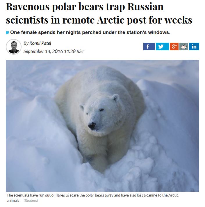 russian-scientists-trapped-by-polar-bears-14-sept-2016_ib-times