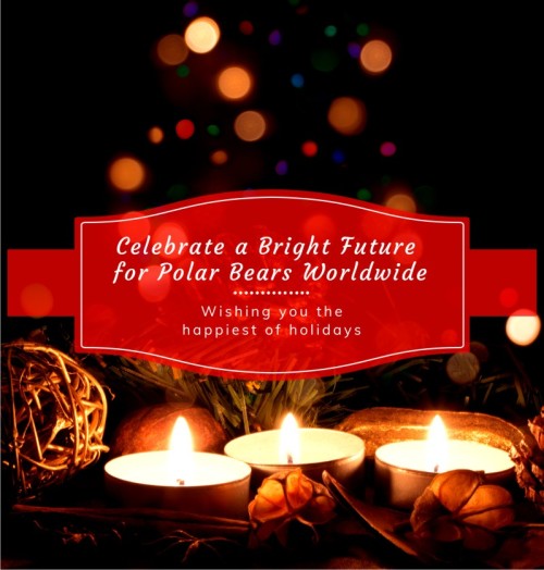 christmas-2016-polarbearscience-small_221596618
