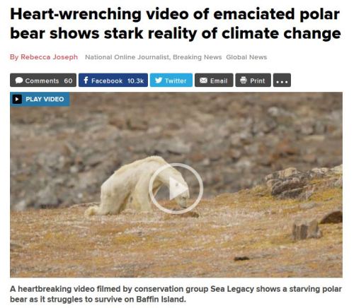 Baffin Island starving pb headline_GlobalNews_8 Dec 2017