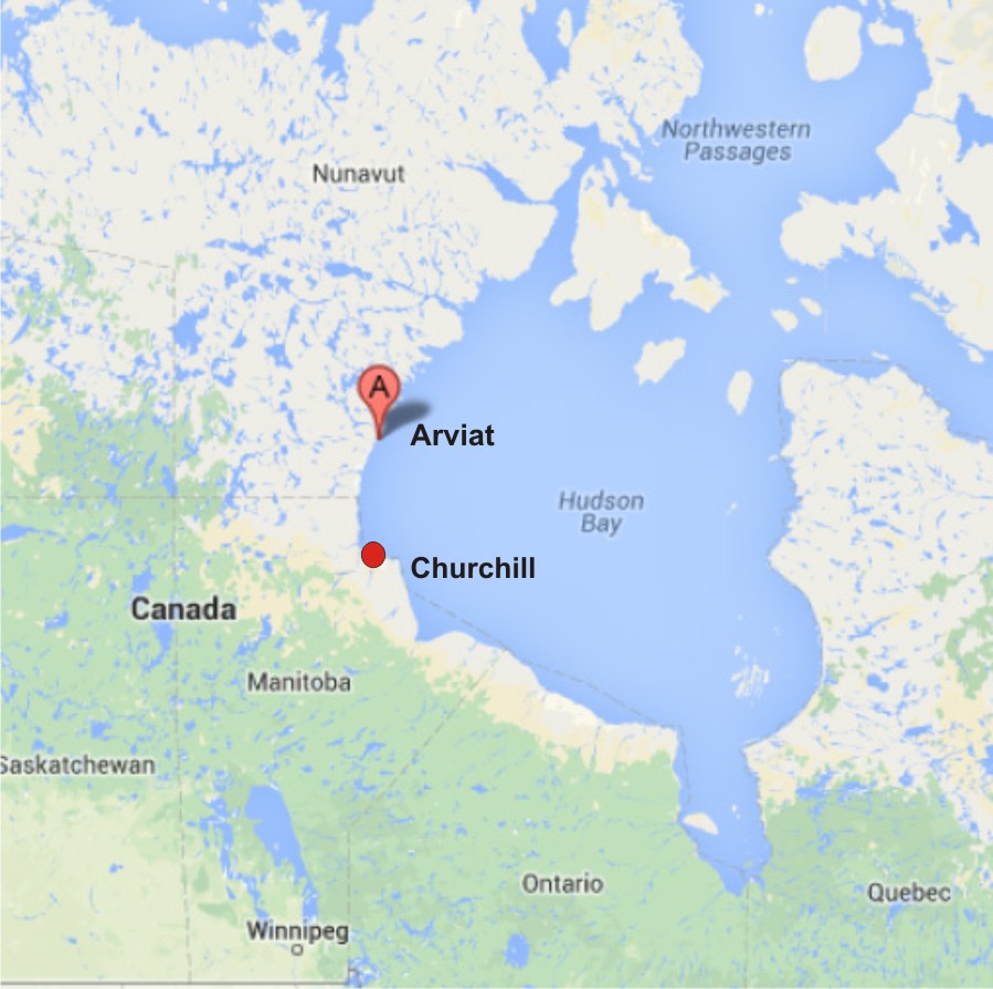 Arviat with Churchill_Google maps