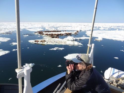 Quakenbush looking for ringed and bearded seals in Chukchi sea_11 Feb 2019 ADN
