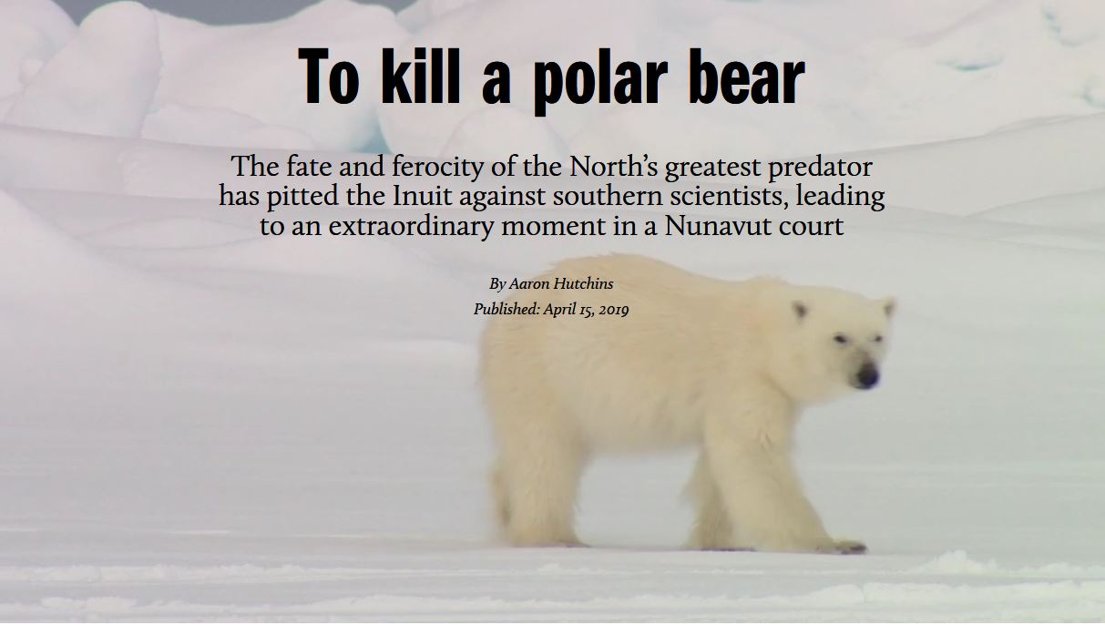 Macleans to kill a polar bear headline 21 April 2019