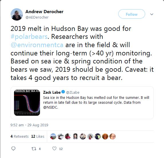 Derocher 2019 Hudson Bay melt season good for pbs_but need 4 good years_29 Aug