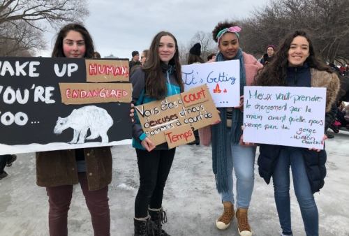 Polar bear endangered plackard at Kids Global Strike Montreal March 2019 CBC