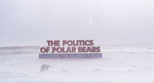 Politics of polar bears title