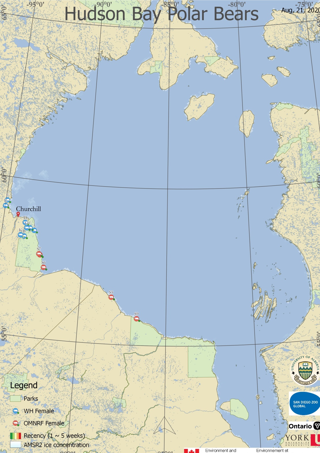 Derocher 2020 WHB tracking map 21 Aug_last bear ashore north of Churchill