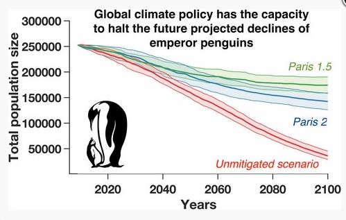 Jenouvrier et al 2020 emperor penguin pop decline graphic abstract